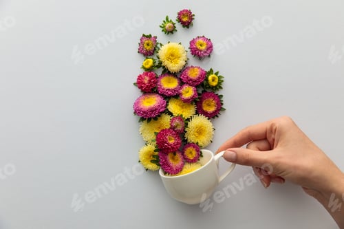 Preview: cropped view of woman holding cup with asters on white background
