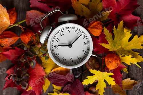 Preview: Fall winter time change concept. Autumn composition with retro alarm clock, bright yellow leaves