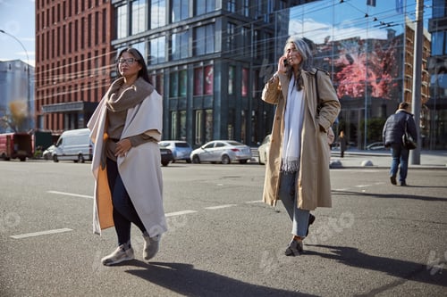 Preview: Two elegant women walking on the street