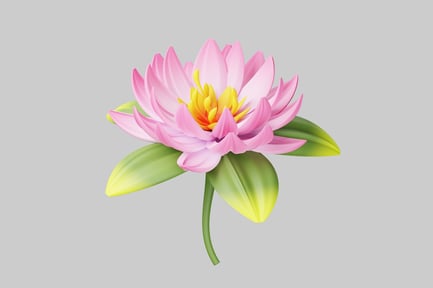 Preview: Water lily with yellow center