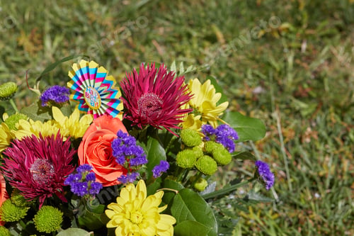 Preview: Close up photo of bunch of flowers with green leaves at the garden