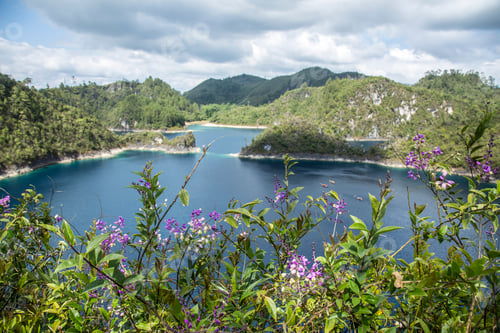 Preview: Beautiful views of Montebello winged from a flowers. Mexico