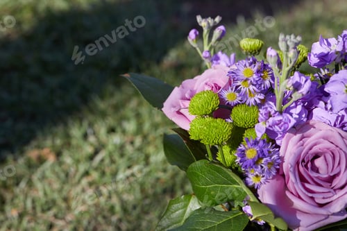 Preview: Close-up photo of bunch of purple roses
