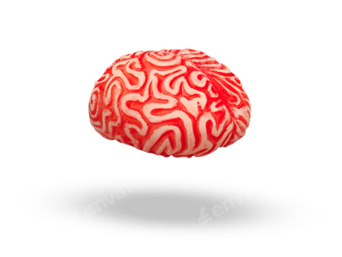 Preview: Human rubber brain floating in midair.