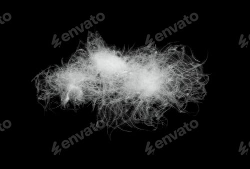 Preview: white duck down on a black isolated background