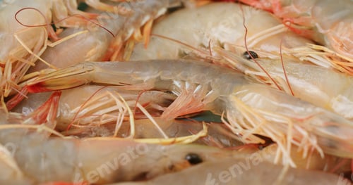 Preview: Stack of fresh shrimp