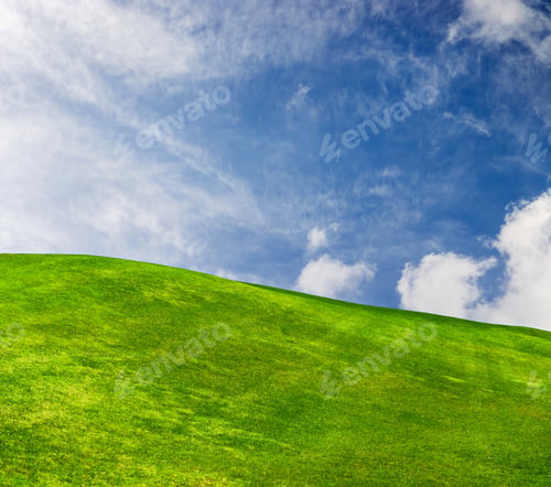 Preview: Landscape with green grass field under a blue sky