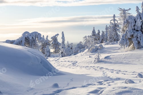 Preview: view of snowy hill slope near Kandalaksha, winter