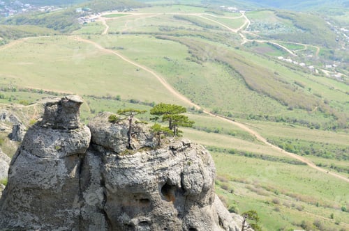 Preview: Trees grow on top of rocky mountain