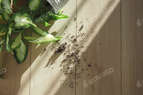 Preview: A potted plant has accidentally spilled potting soil all over the beautiful wooden floor