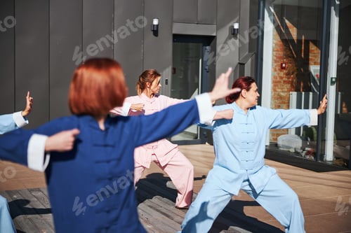 Preview: People working out with tai chi on sunny day