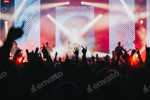 Preview: Concert crowd on a music concert