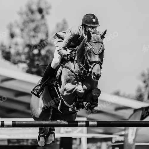 Preview: Horse Jumping, Equestrian Sports, Show Jumping themed photo.