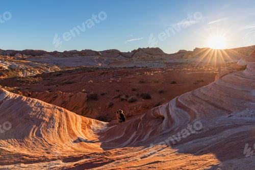 Preview: USA, Nevada, Valley of Fire State Park, woman taking pictures of colored sandstone and limestone roc