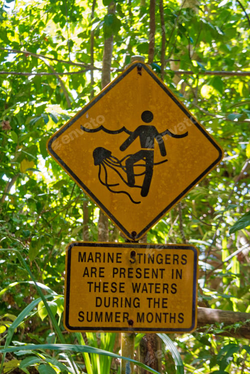 Preview: Warning sign in Australia about dangerous poisonous stinging jellyfish