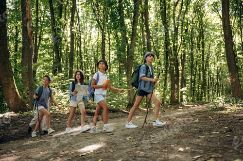 Preview: Group of children in the forest on a hike