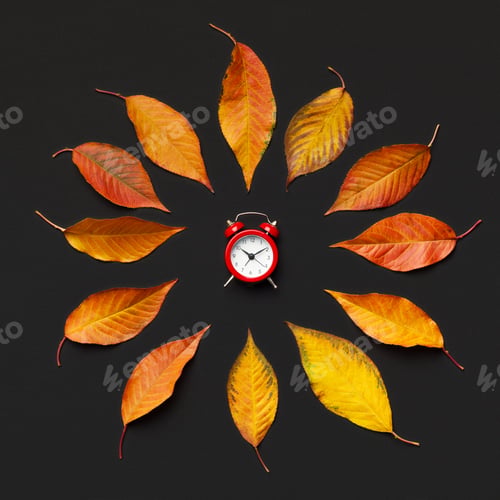 Preview: Creative autumn flower of fallen leaves and red alarm clock