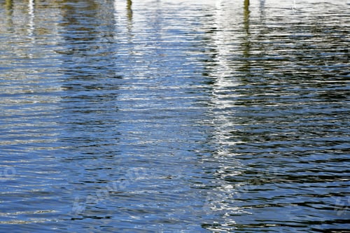 Preview: Reflections on Calm Water on a Sunny Day