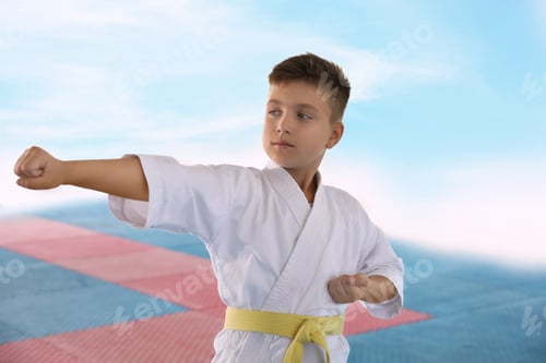 Preview: Boy in kimono practicing karate on tatami outdoors