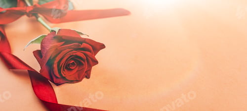 Preview: Red rose on red background