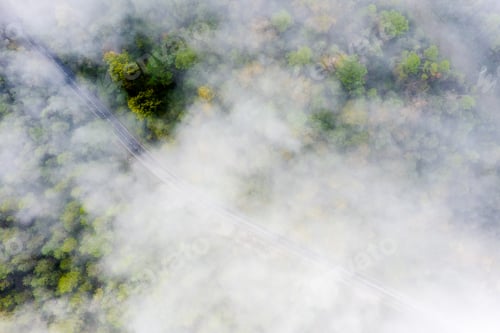 Preview: country road between clouds in the autumn forest