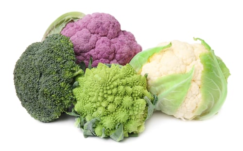 Preview: Different fresh raw cabbages on white background