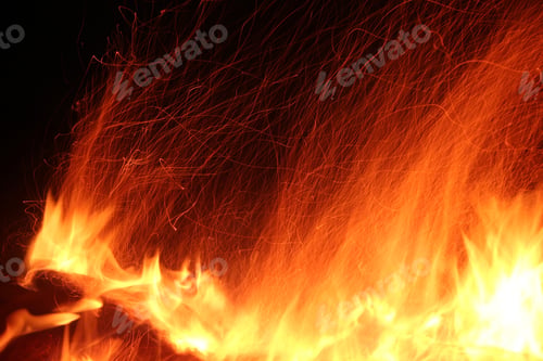 Aperçu: Bonfire in the woods