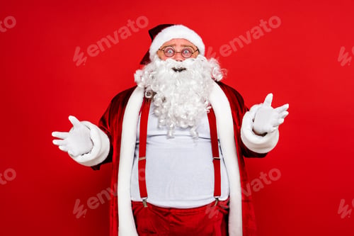 Preview: Funny Santa Claus portrait