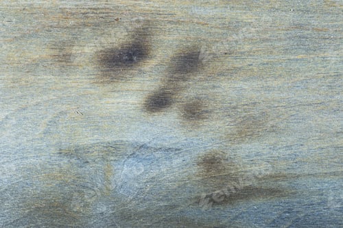 Preview: Wood Grain- Wooden Texture Background. Weathered Wallpaper.