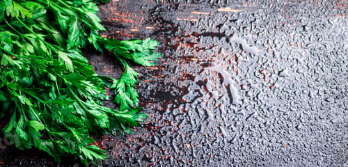 Preview: Parsley on a damp table.