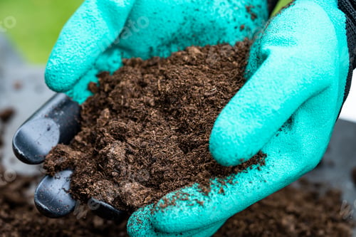 Preview: Hand holding peat moss organic matter improve soil for agriculture organic plant growing, ecology