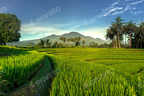 Preview: Beautiful morning view indonesia Panorama Landscape with beauty color