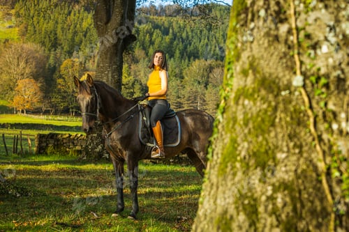 Preview: Woman on horseback in a serene countryside setting. Lifestyle. Horse riding.