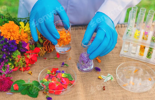 Preview: Flowers and test tubes for perfume making. Selective focus.