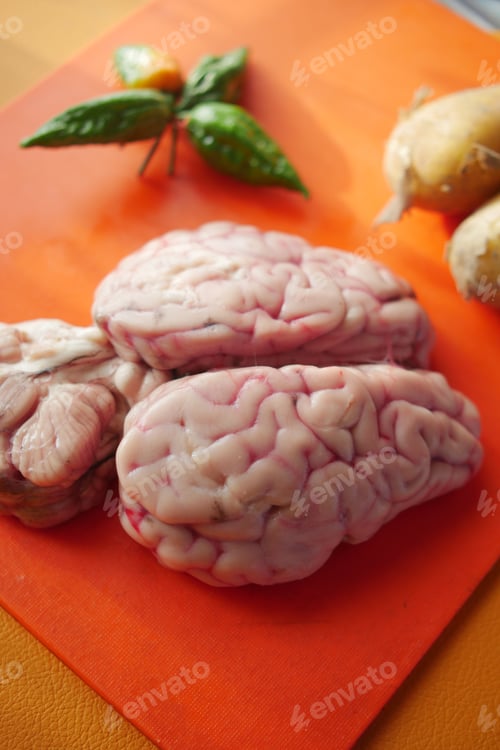 Preview: Fresh animal brains prepared for a culinary dish in a kitchen setting
