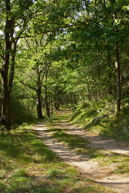 Preview: Explore the countryside