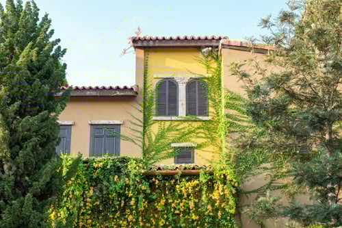 Preview: Architecture building antique ivy cover