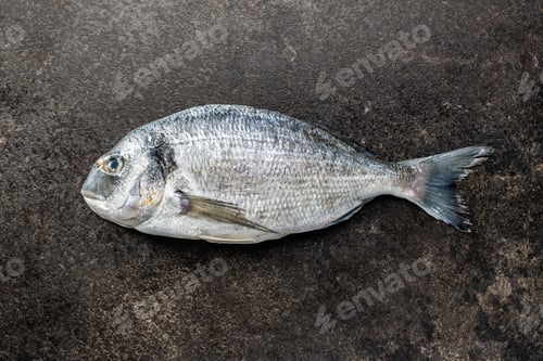Preview: Fresh sea bream fish on kitchen table. Top view.
