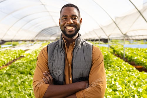 Preview: African American young male farm supervisor standing in greenhouse on a hydroponic farm, arms crosse