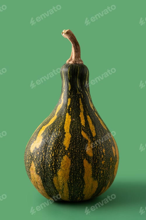 Preview: Fresh green pumpkin
