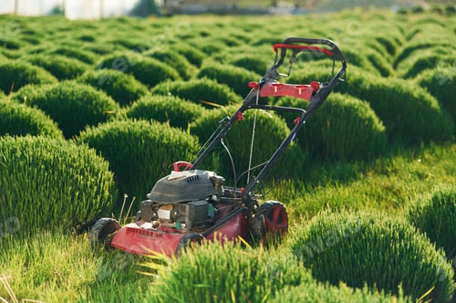 Preview: Lawn mower on the green field