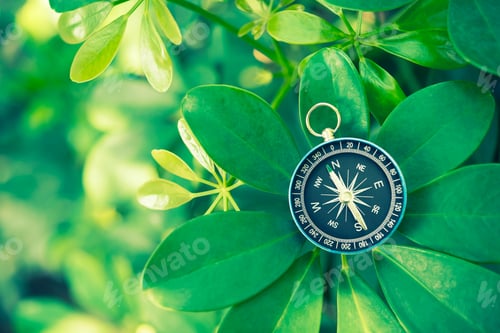 Preview: Compass on green leaf. Travel and adventure concept.