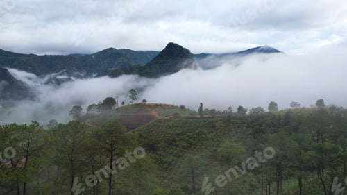 Preview: Aerial view from drone of greenery mountains and forest on foggy morning