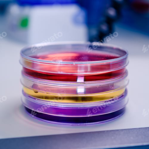 Preview: Closeup shot of colorful substances in petri dishes as part of coronavirus research