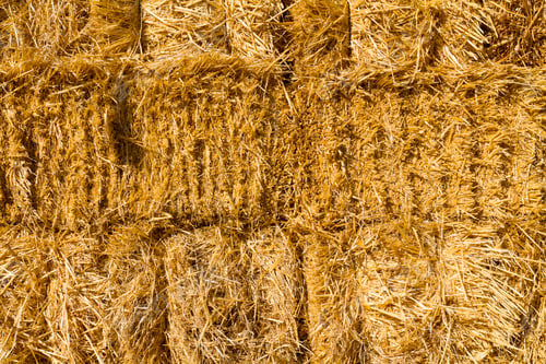 Preview: Haystack wall of dried straw