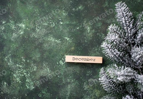 Preview: Christmas background with branch of tree