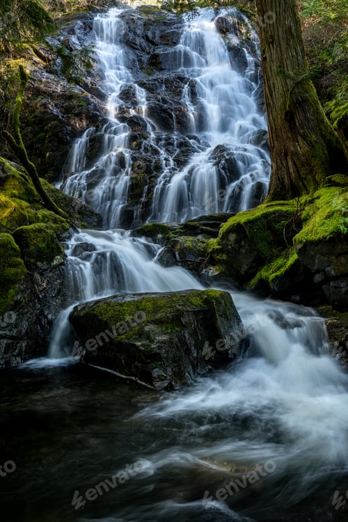 Preview: Vertical shot of Mary Vine Creek waterfall in Sooke Potholes Park, Canada
