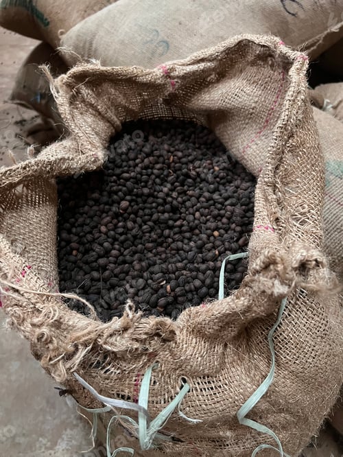 Preview: textile bag filled with roasted coffee beans waiting to be sold, Sidama, Ethipoia