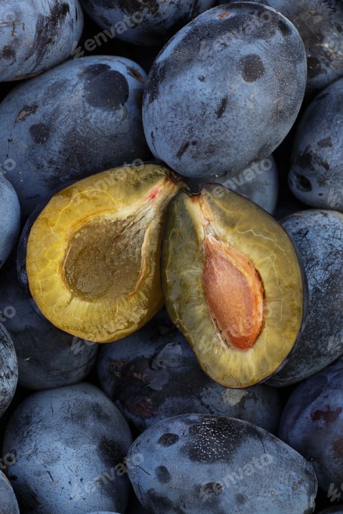 Preview: Plums - tasty and healthy plums straight from the garden