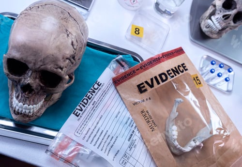 Preview: Human skull of a murdered adult in forensic lab, conceptual image